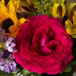 Meet your Posher, Elle